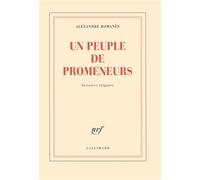 Un peuple de promeneurs: Histoires tziganes