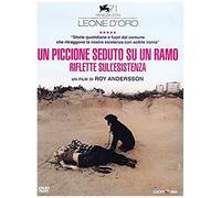 Un Piccione Seduto Su Un Ramo Riflette Sull'esistenza Dvd Italian Import