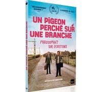 Un Pigeon Perché Sur Une Branche Philosophait Sur L'existence