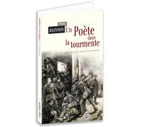 Un poète dans la tourmente W.B. et la révolution irlandaise - Pierre Joannon - Terre De Brume - broché - Essai