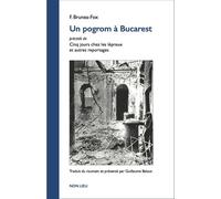 Un pogrom à Bucarest Précédé de Cinq jours chez les lépreux et autres reportages - Filip Brunea-Fox - Non Lieu - broché - Essai