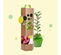 Un pommier à planter, livré dans un bel emballage écologique - cadeau durable