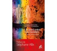 Audrey Roncière, Baptiste Scarnera – Un pont entre nos mondes – L'autisme transcendé – Broché