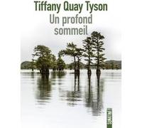 Un profond sommeil Tiffany Quay Tyson (Auteur), Héloïse Esquié (Traduction)