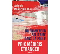 Un promeneur solitaire dans la foule - Prix Médicis étranger 2020