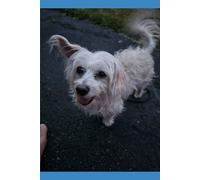 Un Psicoanalisis del "Yo": Conócete a ti mismo y Encuentra paz en ti.