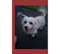 Un Psicoanalisis del "Yo": Conócete a ti mismo y Encuentra paz en ti.