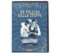 Un pulcino nella stoppa