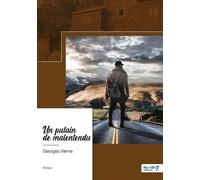 Un putain de malentendu - Georges Vierne - Nombre 7 - broché - Roman