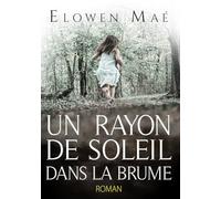 Un rayon de soleil dans la brume