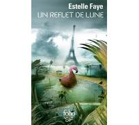 Estelle Faye – Un reflet de lune – Roman – Poche