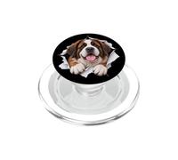 Un Saint Bernard drôle Jette Un Coup d'œil Mignon, Maman et Papa, Amoureux des Chiens PopSockets PopGrip pour MagSafe