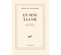 Un sens à la vie
