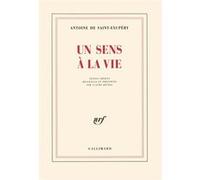 Antoine de Saint-Exupéry – Un sens à la vie – Textes inédits – Gallimard