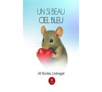 Un si beau ciel bleu - Jill Bordes Llobregat - Le Lys Bleu - broché - Essai