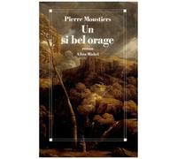 Un si bel orage – Les Éditions Albin Michel