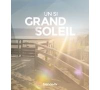 Un si grand soleil - Collectif - Le Tigre Bleu - broché - Essai
