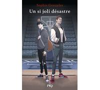 Un si joli désastre