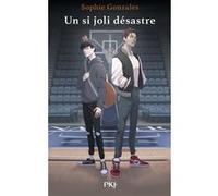 Un Si Joli Désastre