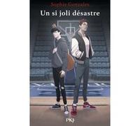 Un Si Joli Désastre