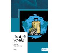 Un si joli voyage - Patricia Vidal Schneider - Nombre 7 - broché - Essai