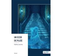 Un soir de pluie - Kathia Lavoine - Nombre 7 - broché - Roman