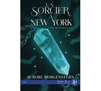 Un sorcier à New York