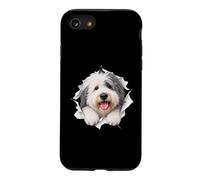 Un Vieux Chien de Berger Anglais drôle jetant Un Coup d'œil Mignon pour Les Amoureux des Chiens, Maman et Papa Coque pour iPhone SE (2020) / 7/8