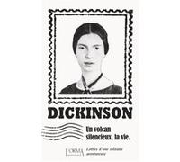 Un volcan silencieux, la vie - Lettres d'une solitaire avent Emily Dickinson (Auteur), Marco Federici Solari (Auteur), Margaux Bricler (Traduction), Delphine Ménage (Traduction)