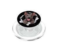 Un Xoloitzcuintli drôle jetant Un Coup d'œil Mignon pour Les Chiens, Maman et Papa PopSockets PopGrip pour MagSafe