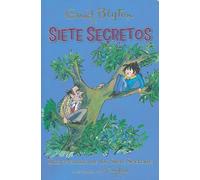 Una aventura de los siete secretos/ Secret Seven Adventure