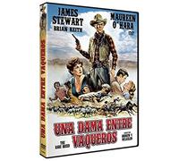 Una Dama entre Vaqueros