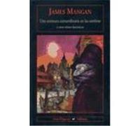 Una extraordinaria aventura en las sombras