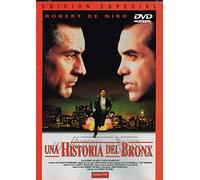 Una historia del Bronx