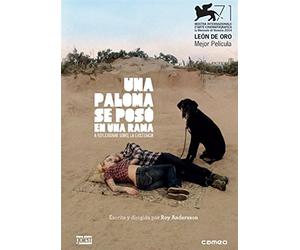 Una paloma se posó en una rama a reflexionar sobre la existencia