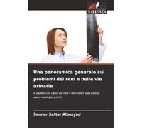 Una panoramica generale sui problemi dei reni e delle vie urinarie: in pazienti con calcoli del rene e dell'uretere sulla base di esami radiologici e clinici