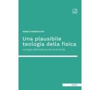 Una Plausibile Teologia Della Fisica. Le Leggi Della Natura Senza Formule