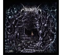 Unanimated In the Forest of the Dreaming Dead (CD) Album (Jewel Case)