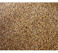 Unbekannt Articles au Kilo Grains d’épeautre, Dinkel, z. Recharge v. Oreiller épeautre ou Coussin réchauffant - 5kg