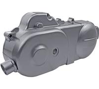 Unbekannt Cache Variomatic 10 "669 mm Argent pour GY6 50 CCM