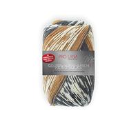 Unbekannt Chaussettes Pro Lana Fjord Color 187-4 fils - Laine pour chaussettes - Motif norvégien - Marron et gris