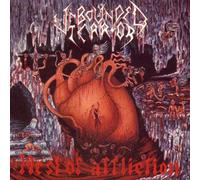 Unbounded Terror - Nest of Affliction