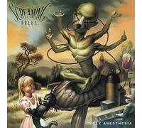 Uncle Anesthesia/avec Chris Cornell