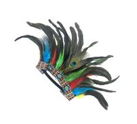 UncleS Bandeau à plumes pour Halloween Accessoire de costume Indien Festival Célébration Scène spectacle Observateur de tête Cosplay