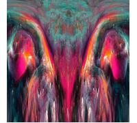 Unconditional Arms Formation (Vinyl)