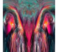 Unconditional Arms - Formation [Vinyl LP]