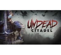 Undead Citadel (PS5 Account)