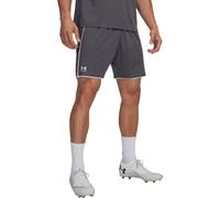 Under Armour Short Challenger Gris/Blanc XL