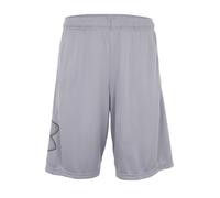 Under Armour Tech™ Graphic Shorts Argenté M / Regular Homme