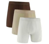 Under Armour Performance Tech 6" 3 pcs Caleçon M Marron